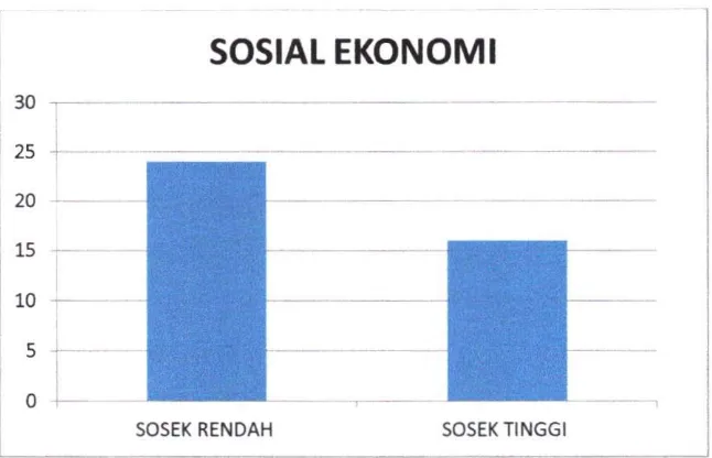 Grafik 4.5 Distribusi Frekuensi Sosial Ekonomi 