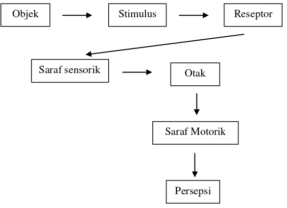 Gambar 1. Proses terjadinya persepsi (sumber : Sunaryo, 2002) 