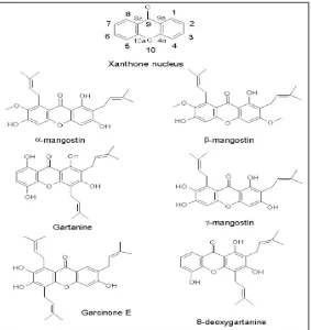 Gambar 2.1 Struktur kimia dari α-mangostin, β-mangostin, gartanin, garcinon E, 8-deoksigartanin (Chaverry, dkk., 2008)