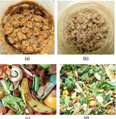 Gambar 4.2. Media yang digunakan dalam penelitian, yaitu pakan ayam (a), ampas  tahu (b), limbah buah-buahan (c), dan limbah sayuran (d) 