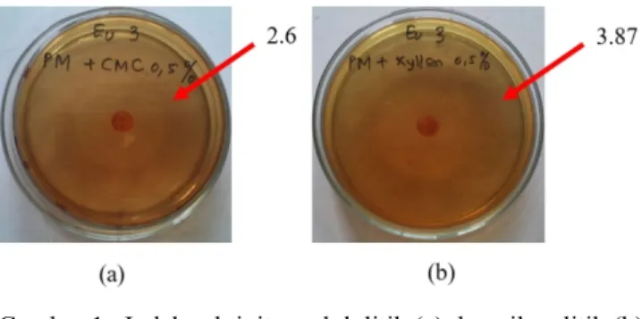 Tabel 1. Indeks aktivitas CMCase dan Xilanase Kode isolate Indeks aktivitas 