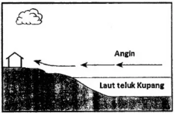 gambar tersebut paling mungkin