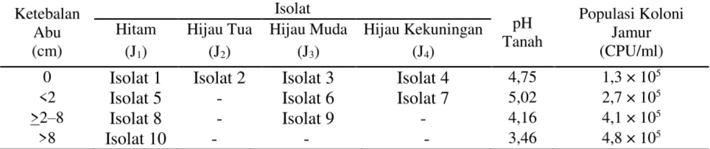 Tabel 1. Isolasi jamur pelarut fosfat dari bahan tanah Andisol terdampak erupsi  Ketebalan  Abu  (cm)  Isolat  pH  Tanah  Populasi Koloni Jamur (CPU/ml) Hitam Hijau Tua  Hijau Muda  Hijau Kekuningan 