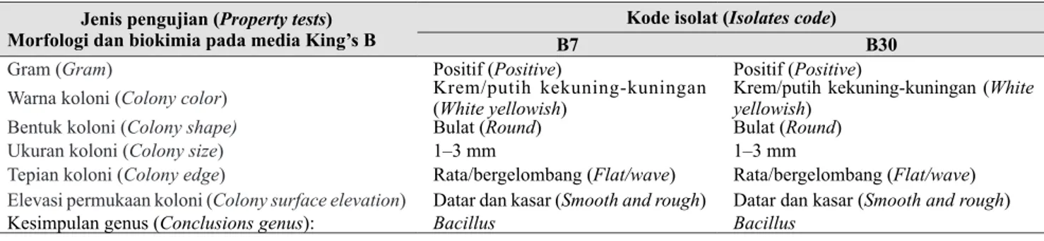 Tabel 2.   Karakteristik spesies bakteri antagonis berdasarkan uji morfologi dan  biokimia (Suspected an- an-tagonist bacterial species based on morphological and  biochemical characteristics)