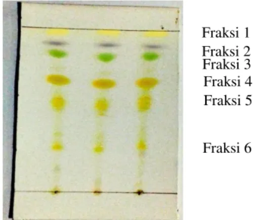 Gambar  5.  Kromatogram  hasil  migrasi  ekstrak  pigmen  total  dengan  pengembang PE : Aseton (80:20) 