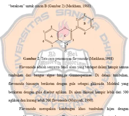 Gambar 2. Tata cara penomoran flavonoida (Markham,1988) 
