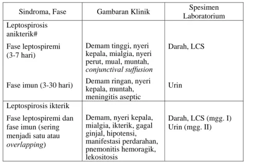 Tabel 2.5. Perbedaan gambaran klinik leptospirosis anikterik dan ikterik 
