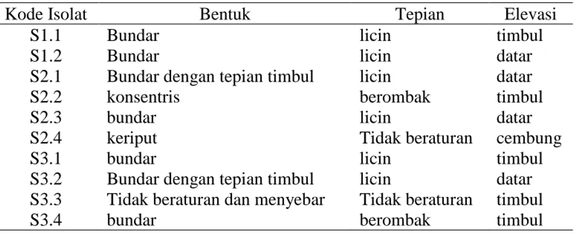 Tabel  1.  Ciri-ciri  Morfologi  Isolat  Bakteri  Termo-alkalifilik  pada  Salah  Satu   Sumber Air Panas di Indonesia 