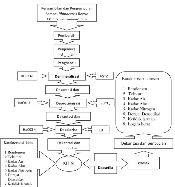 Gambar 1.  Proses Isolasi Kitin-Kitosan  Kutu Beras  Karakterisasi Kitin dan Kitosan 