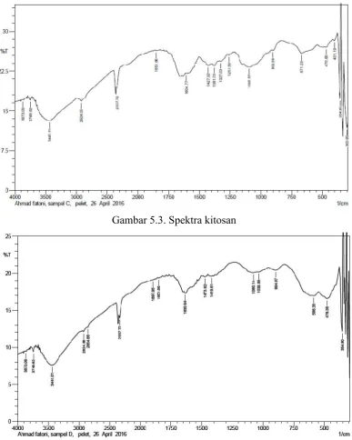 Gambar 5.3. Spektra kitosan