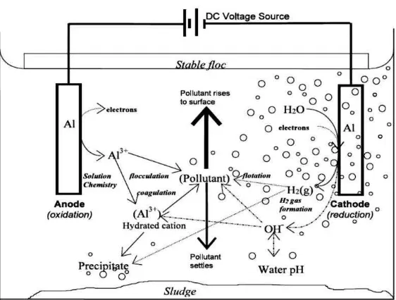 Gambar 2.1 Mekanisme dalam elektrokoagulasi (Holt, 2006 dalam Susilawati  2010) 