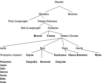 Figure 1. Omotic language family, adapted from Fleming (1976a). 