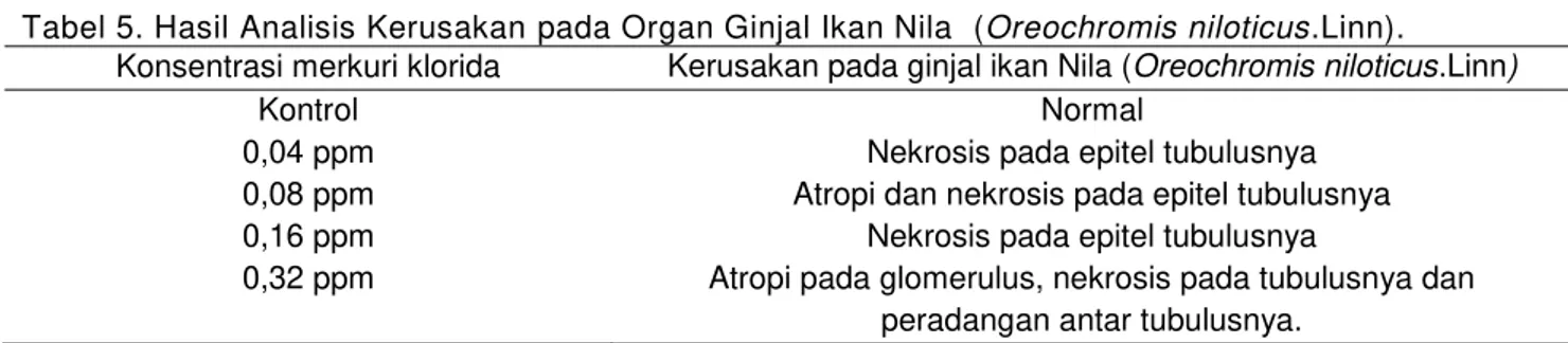 Tabel 5. Hasil Analisis Kerusakan pada Organ Ginjal Ikan Nila  (Oreochromis niloticus.Linn)