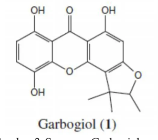 Gambar 2. Senyawa Garbogiol yang ditemukan oleh Iinuma, dkk.
