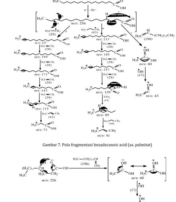 Gambar 7. Pola fragmentasi hexadecanoic acid (as. palmitat) 