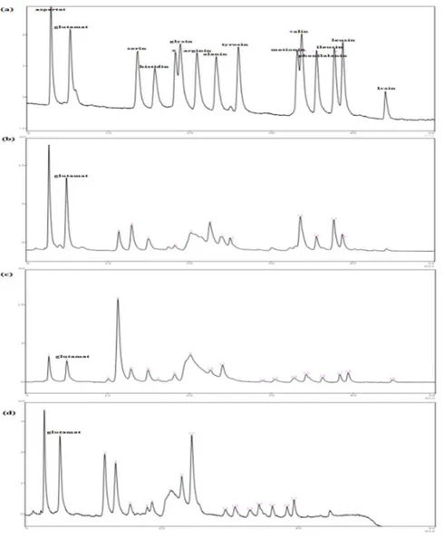 Gambar 2. Kromatogram HPLC asam amino glutamat bebas; (a) standar\konsentrasi  333,33 ppm; (b) daun  muda segar; (c) daun sedang segar; (d) daun tua segar 