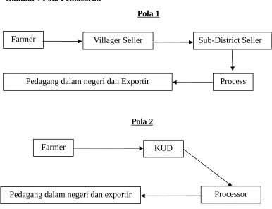 Gambar : Pola Pemasaran