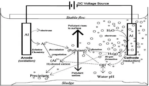 Gambar 2.1 Mekanisme dalam elektrokoagulasi (Susilawati 2010)  