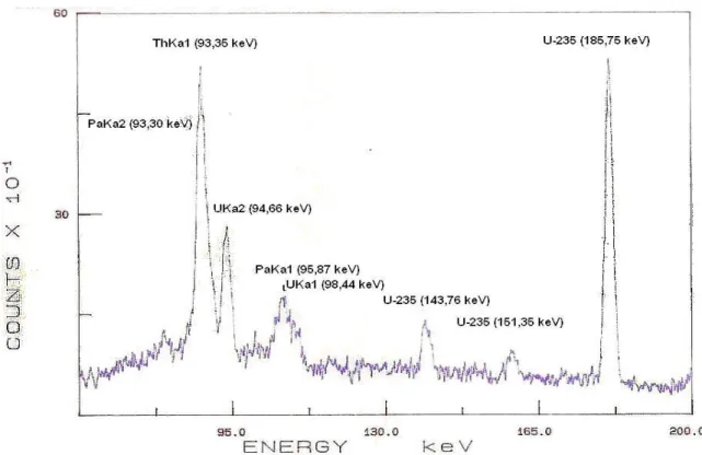 Gambar 2.  Spektrum sinar-X dan sinar gamma standar U 3 O 8 