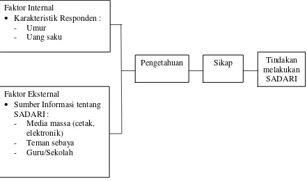 Gambar 2.6 : Kerangka Konsep 