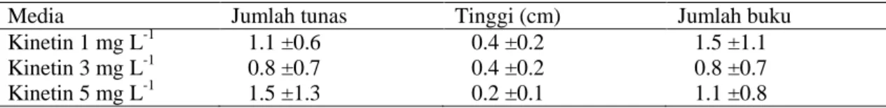 Tabel  1.  Pertumbuhan  tunas  keruk  keprok  putatif  mutan  pada  media  multiplikasi  tunas  dengan  penambahan kinetin 8 minggu setelah dikulturkan  