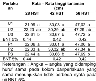 Tabel 1.   Rata-Rata  tinggi  tanaman  bawang  daun  (  cm  )  pengaruh    perlakuan  dosis  pupuk  urea  dan  dosis  pupuk  petroganik  pada  umur  pengamatan  28 , 42 dan 56 hst 