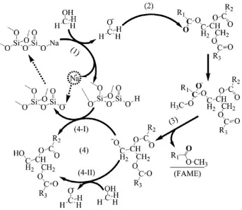 Gambar 2.1 Mekanisme Reaksi Pembuatan Biodiesel Dengan Natrium Silikat [35] 