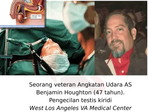 Gambar ilustrasi KP