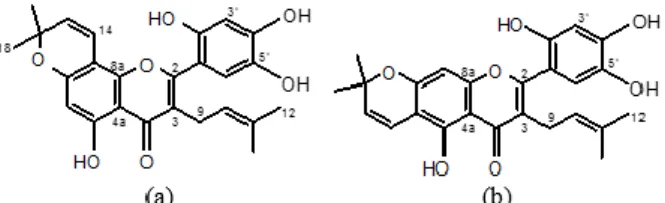 Gambar 3.4 Posisi gugus kromen terhadap kerangka dasar flavonoid:  (a) kromen tersubstitusi angular dan (b) kromen tersubstitusi linear