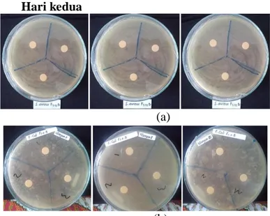 Gambar  3.  Uji  Bioaktivitas  Isolat  F1  terhadap  Bakteri  (a)  S.  aureus  dan  (b)  E