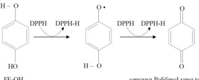 Gambar  8.  Mekanisme  peredaman  DPPH  oleh  senyawa fenolik (Cholisoh, 2008)  