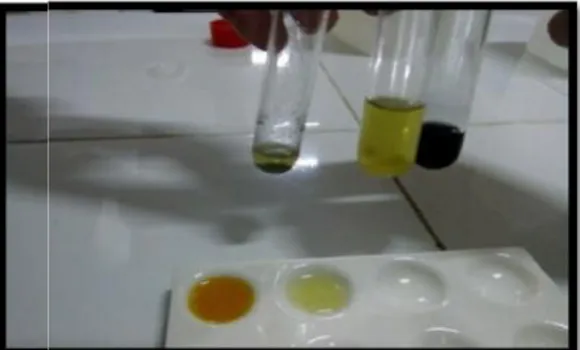 Gambar 2. Hasil Identifikasi Uji Alkaloid, Tanin, dan Flavonoid.Bioscientist : Jurnal Ilmiah Biologi