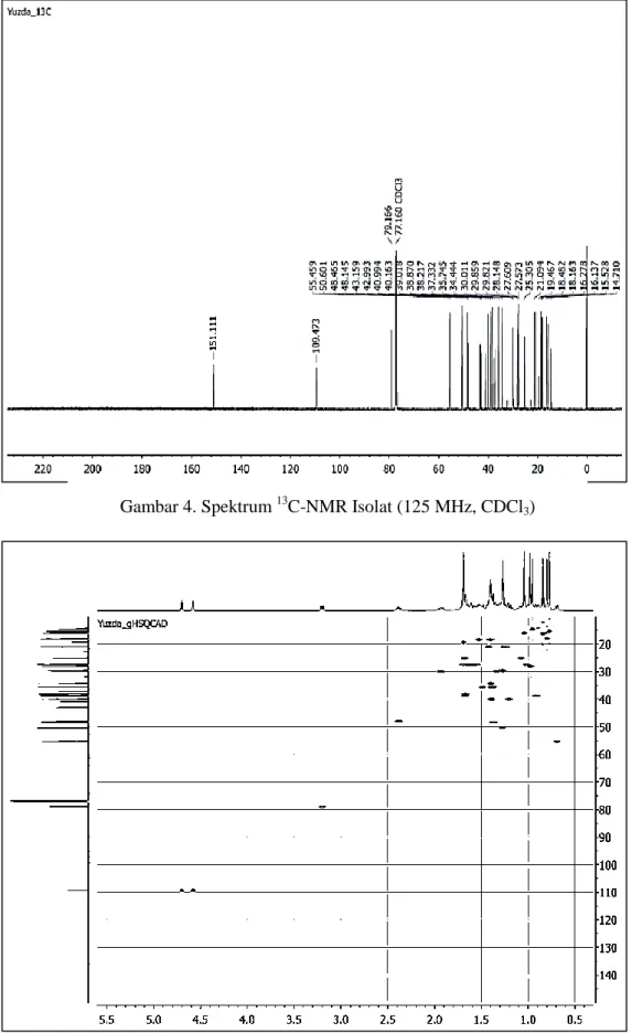 Gambar 4. Spektrum  13 C-NMR Isolat (125 MHz, CDCl 3 )
