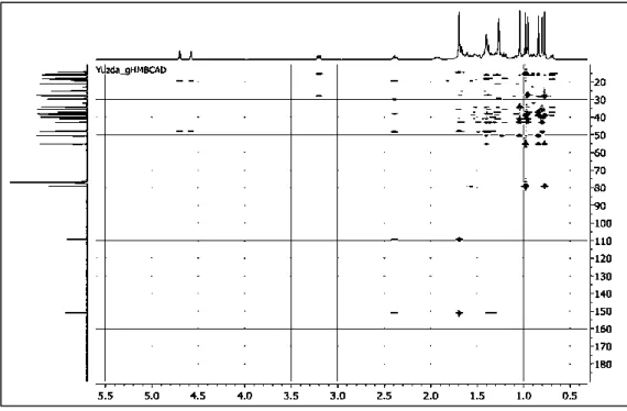 Gambar 6. Spektrum HMBC Isolat 