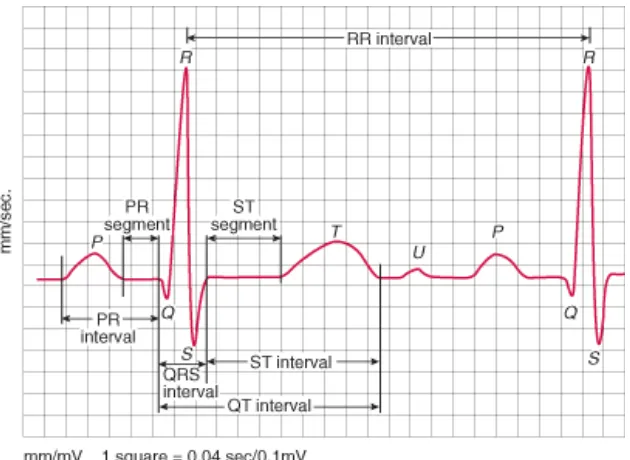 Gambar 2.2. Konfigurasi Elektrokardiogram dengan Gelombang, Segmen  