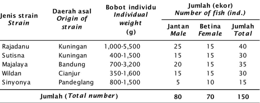 Tabel 1. Jenis, daerah asal strain, ukuran rata-rata, dan jumlah ikan mas koleksi Balai Pe- Pe-nelitian Pemuliaan Ikan, Sukamandi