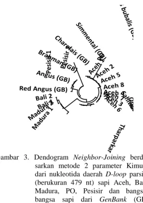 Gambar  3.  Dendogram  Neighbor-Joining  berda- berda-sarkan  metode  2  parameter  Kimura  dari  nukleotida  daerah  D-loop  parsial  (berukuran  479  nt)  sapi  Aceh,  Bali,  Madura,  PO,  Pesisir  dan   bangsa-bangsa  sapi  dari  GenBank  (GB)  dengan  