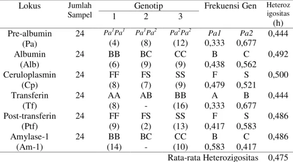 Tabel  1.  Sebaran  Genotip  dan  Frekuensi  Gen  Protein  Darah  Kambing  Jawarandu 