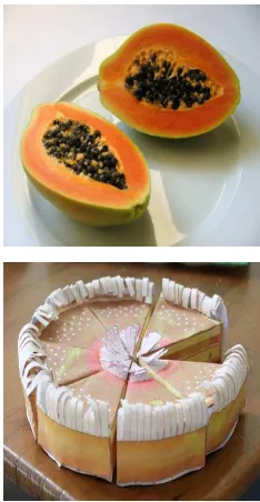Gambar di samping menunjukkan papaya dipotong menjadi dua bagian yang sama, masing-masing bagian menunjukkan 1 dari 2 bagian 