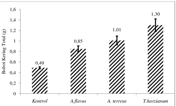 Gambar 5. Grafik Berat Kering Total Bibit A.marina 