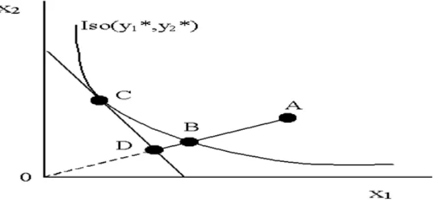 Gambar 2.2. Pengukuran technical efficiency berorientasi input 