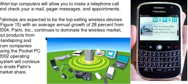 Figure 15: Wireless Internet connections will boost sales of handheld computers, particularly with expansion port add-ons such as 
