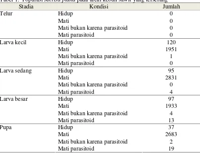 Tabel 1.  Populasi Metisa plana pada areal kebun sawit yang terserang 