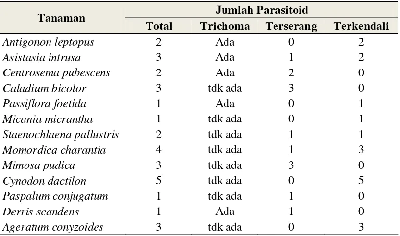 Tabel 8.  Parasitoid yang terdapat pada hama M. plana setelah dilakukan rearing di laboratorium 