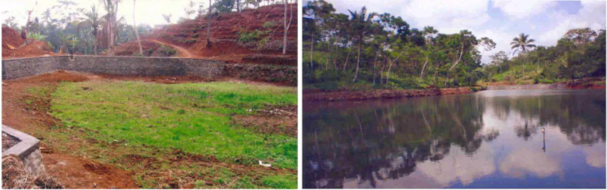 Gambar 3. Kondisi embung yang dibangun pada suatu cekungan di sekitar lahan pertanian (Sumber:  Kementerian Pertanian, 2007) 