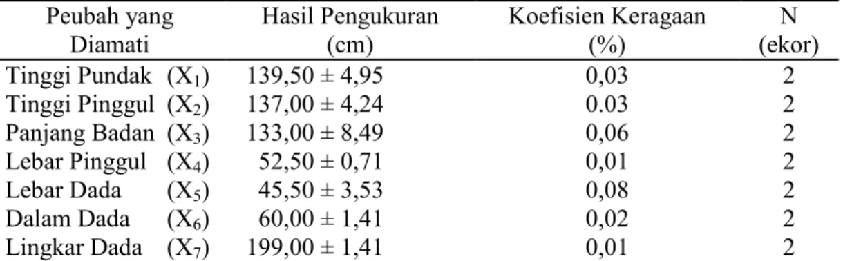 Tabel 1. Ukuran-ukuran linier peubah tubuh kerbau lumpur jantan di Kecamatan Kabanjahe Peubah yang Diamati Hasil Pengukuran(cm) Koefisien Keragaan(%) N (ekor) Tinggi Pundak (X 1 ) 139,50 ± 4,95 0,03 2 Tinggi Pinggul (X 2 ) 137,00 ± 4,24 0.03 2 Panjang Bada