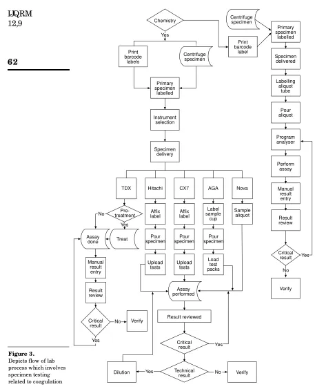 Figure 3.Depicts flow of lab