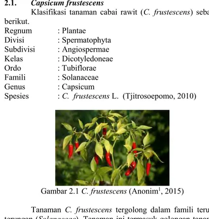 Gambar 2.1 C. frustescens (Anonim 1 , 2015)                  Tanaman  C.  frustescens  tergolong  dalam  famili   terung-terungan (Solanaceae)