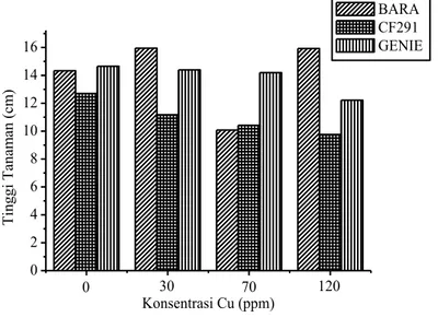 Gambar  4.1  Grafik  Tinggi  Tanaman  C.  frustescens  yang  Tercekam Logam Berat Cu pada Variasi Konsentrasi 