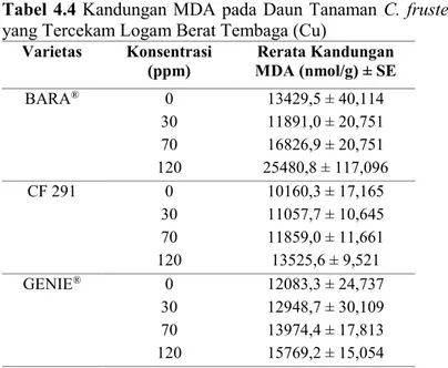 Tabel 4.4 Kandungan MDA pada Daun Tanaman C. frustescens  yang Tercekam Logam Berat Tembaga (Cu) 